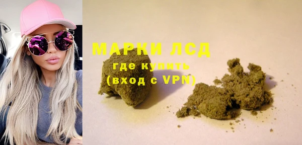 сатива Козловка