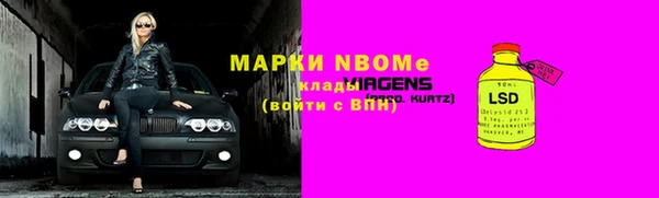 сатива Козловка