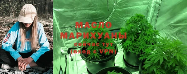 сатива Козловка