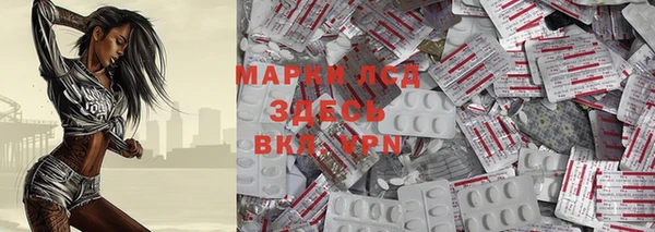 сатива Козловка