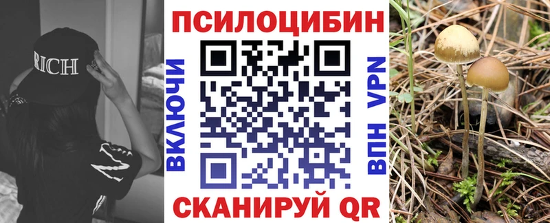 Купить закладки  Дмитриев  Псилоцибиновые грибы GOLDEN TEACHER 